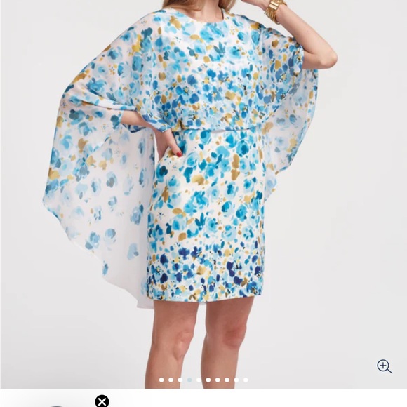 Frances Valentine Dresses & Skirts - Frances Valentine Cape Dress